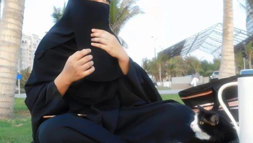 娱乐吃瓜君七七原视频,揭秘娱乐吃瓜界的幕后故事