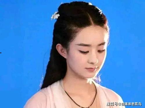 娱乐圈吃瓜文档赵丽颖,娱乐圈的甜蜜瓜果，甜蜜背后的辛酸历程