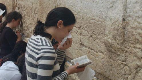 反娱乐吃瓜君,反娱乐吃瓜君带你探秘明星生活