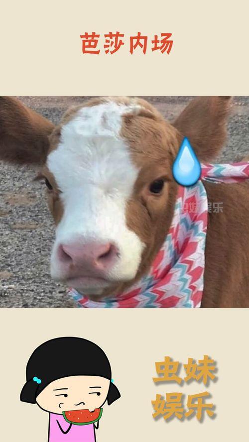 抖音娱乐吃瓜配音