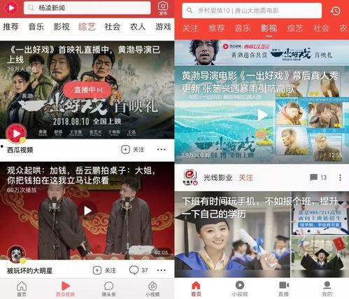 娱乐吃瓜菌广告视频,揭秘娱乐圈幕后故事，带你领略明星幕后生活